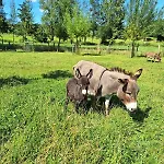 Gezellig Met Zwembad En Sauna In - Bellezelles Дом отдыха