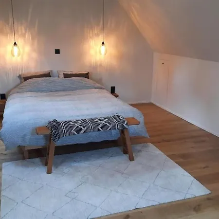 Gezellig Met Zwembad En Sauna In - Bellezelles Ellezelles