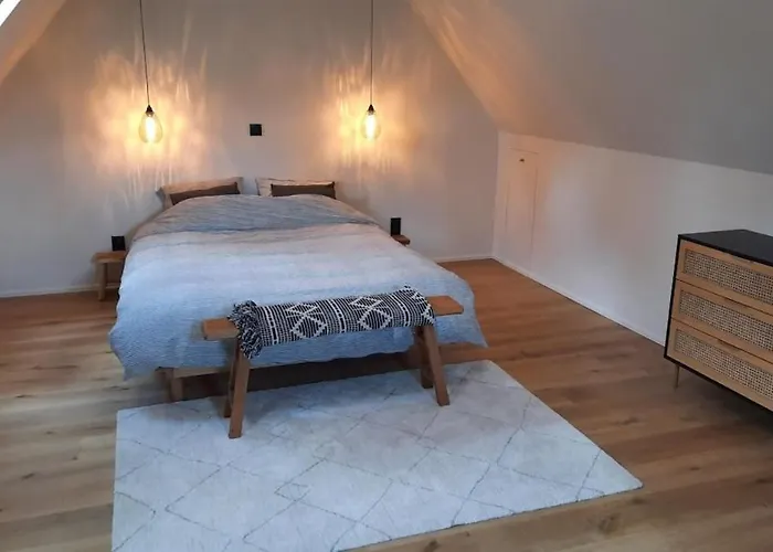 Gezellig Met Zwembad En Sauna In - Bellezelles Ellezelles