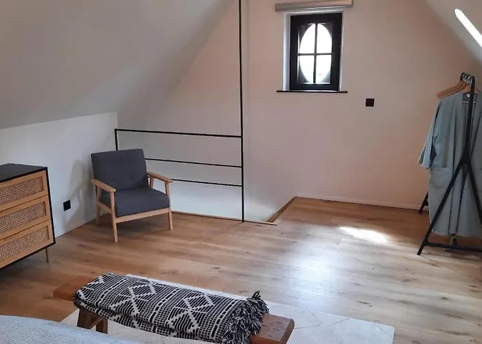 Gezellig Met Zwembad En Sauna In - Bellezelles Ellezelles