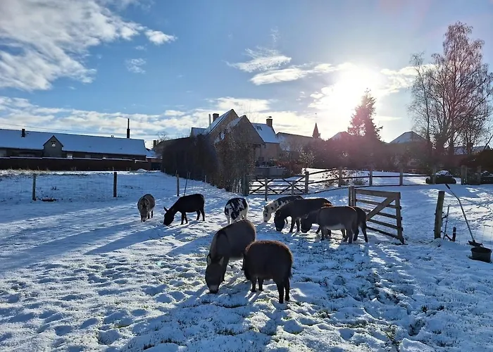 Holiday home Gezellig Met Zwembad En Sauna In - Bellezelles *